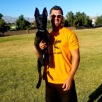 Private Lessons - Dog Training