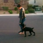 Private Lessons - Dog Training